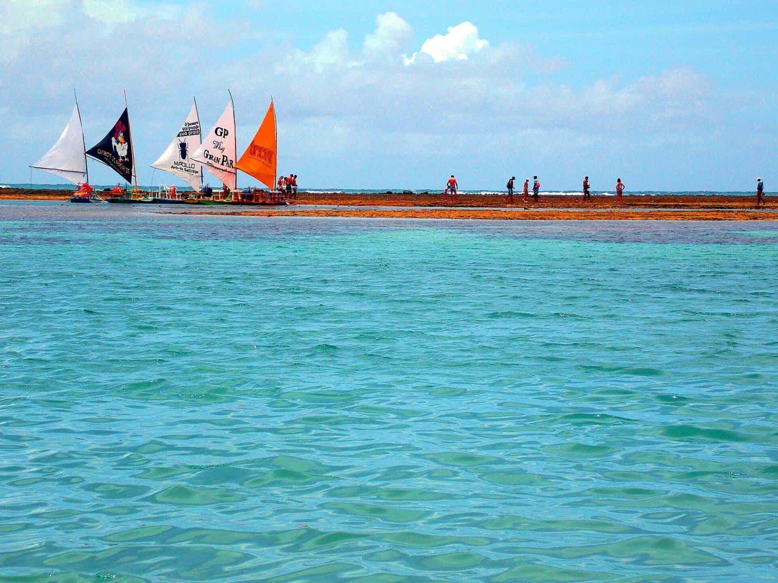 Passeio de buggy Ponta a Ponta Completo (6 Horas) em Porto de Galinhas